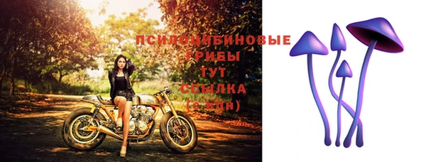 спайс Верхний Тагил