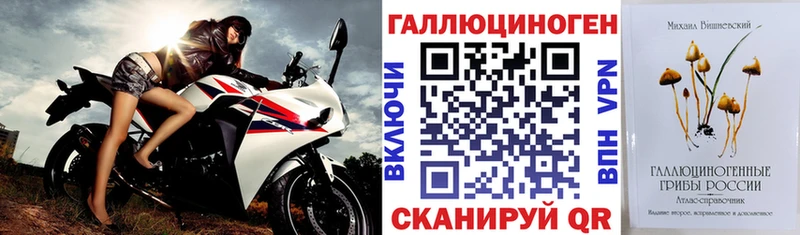 цены наркотик  Новотроицк  даркнет официальный сайт  Галлюциногенные грибы мухоморы 