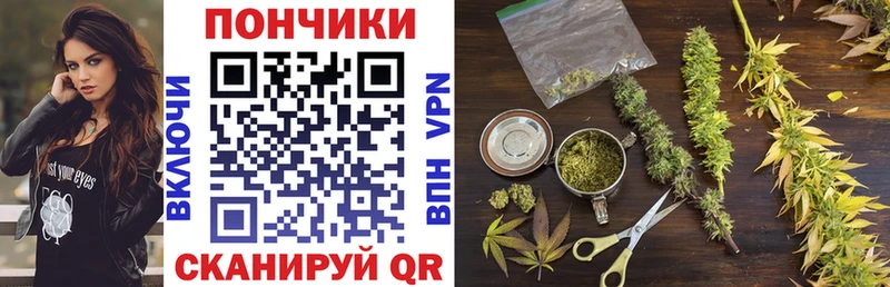 Бошки марихуана план Новотроицк